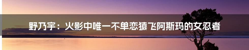 野乃宇：火影中唯一不单恋猿飞阿斯玛的女忍者