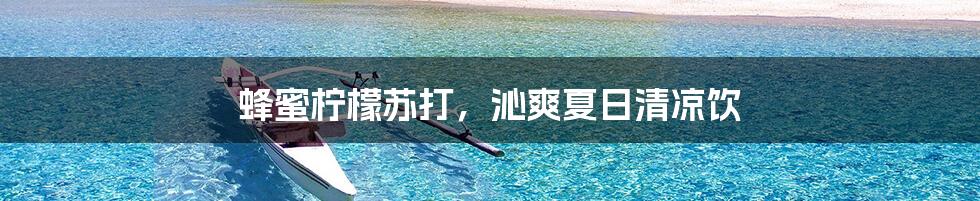 蜂蜜柠檬苏打，沁爽夏日清凉饮