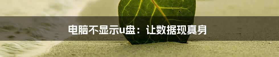 电脑不显示u盘：让数据现真身