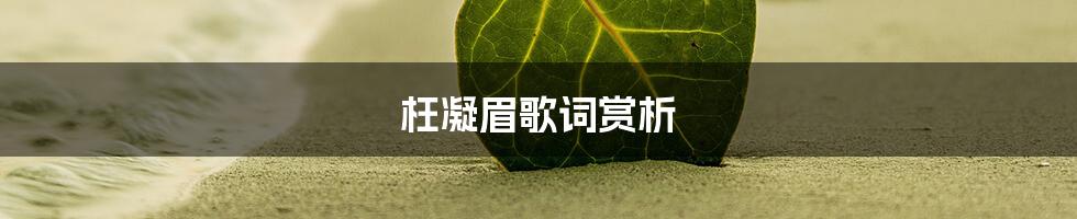 枉凝眉歌词赏析