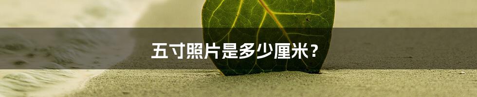 五寸照片是多少厘米?