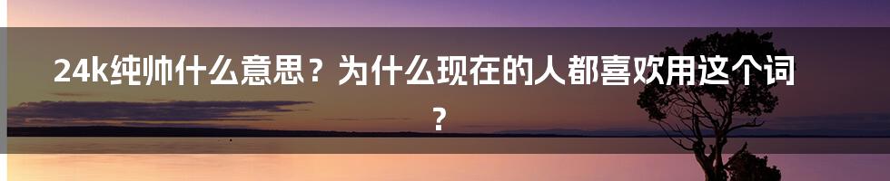 24k纯帅什么意思？为什么现在的人都喜欢用这个词？