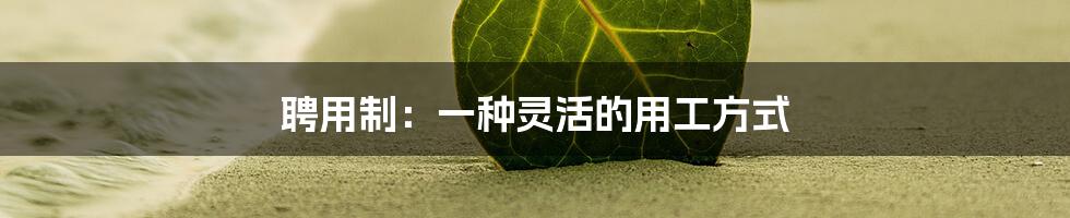 聘用制：一种灵活的用工方式