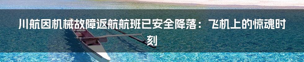 川航因机械故障返航航班已安全降落:飞机上的惊魂时刻