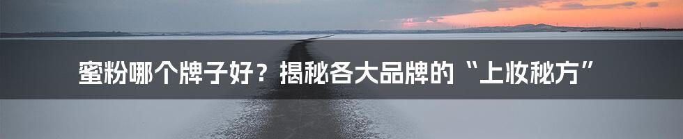 蜜粉哪个牌子好?揭秘各大品牌的“上妆秘方”