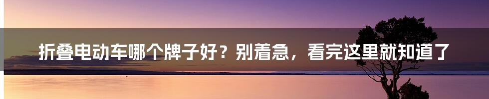 折叠电动车哪个牌子好？别着急，看完这里就知道了