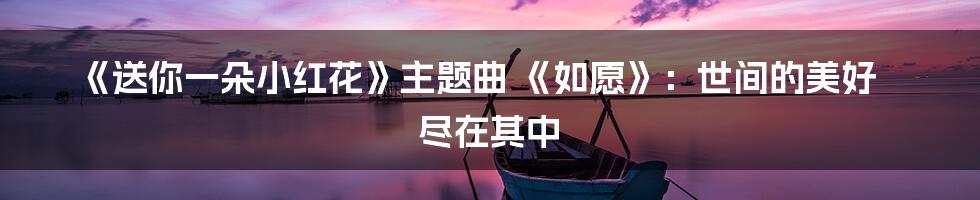 《送你一朵小红花》主题曲 《如愿》：世间的美好 尽在其中