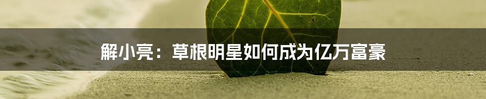 解小亮：草根明星如何成为亿万富豪