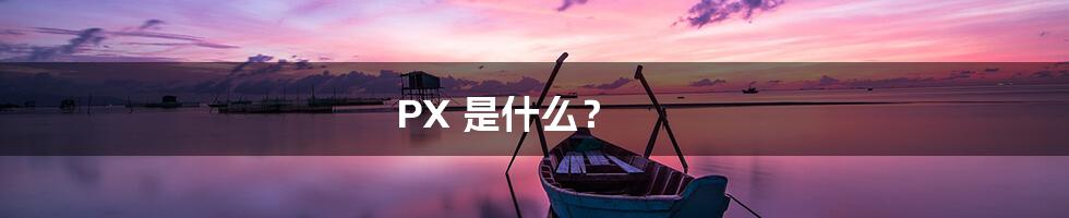 PX 是什么？