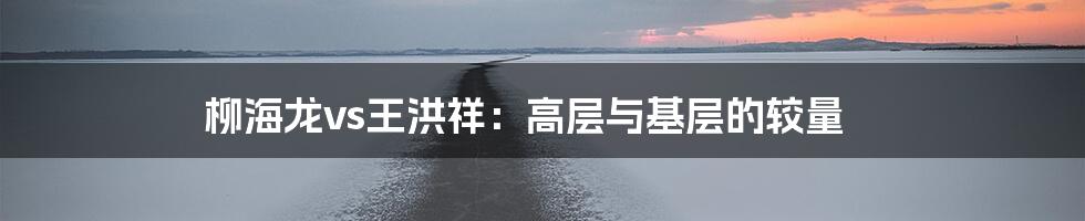 柳海龙vs王洪祥：高层与基层的较量