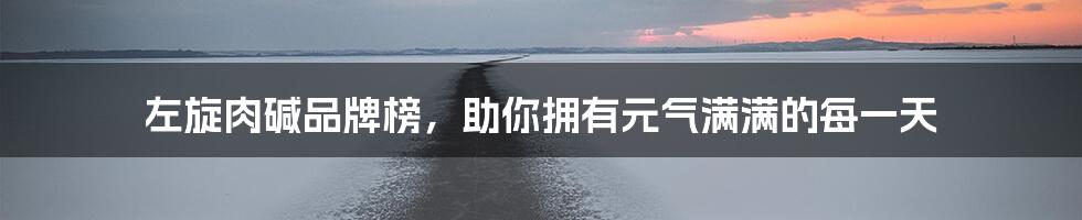 左旋肉碱品牌榜,助你拥有元气满满的每一天