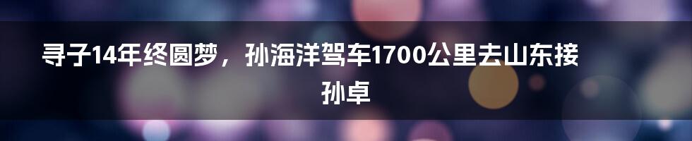 寻子14年终圆梦，孙海洋驾车1700公里去山东接孙卓