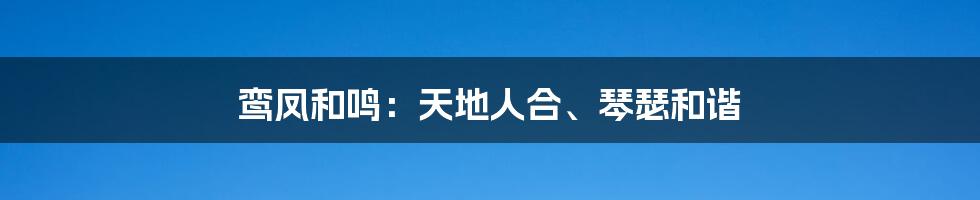 鸾凤和鸣：天地人合、琴瑟和谐