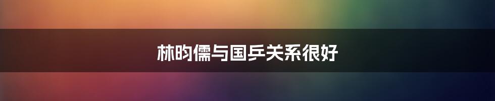 林昀儒与国乒关系很好