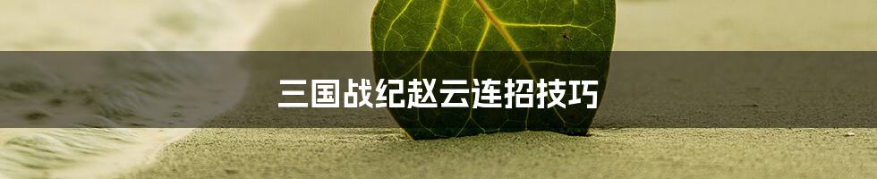 三国战纪赵云连招技巧