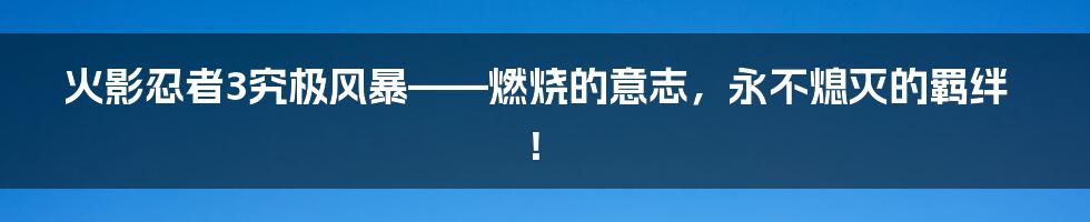 火影忍者3究极风暴——燃烧的意志,永不熄灭的羁绊!