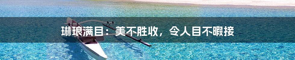 琳琅满目:美不胜收,令人目不暇接