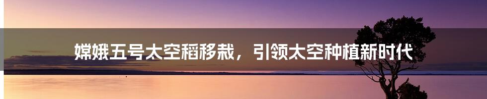 嫦娥五号太空稻移栽，引领太空种植新时代