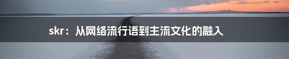 skr：从网络流行语到主流文化的融入