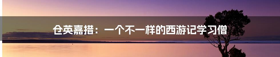 仓英嘉措:一个不一样的西游记学习僧