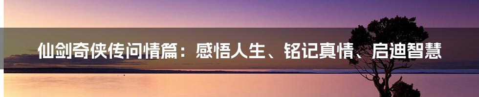 仙剑奇侠传问情篇：感悟人生、铭记真情、启迪智慧