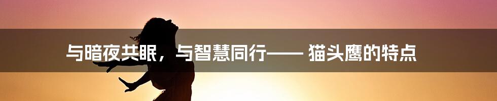 与暗夜共眠，与智慧同行—— 猫头鹰的特点