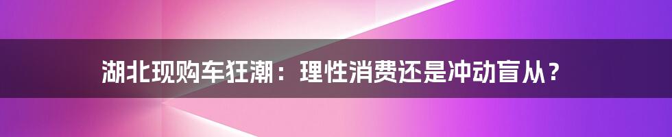 湖北现购车狂潮：理性消费还是冲动盲从？