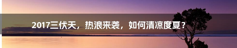 2017三伏天，热浪来袭，如何清凉度夏？