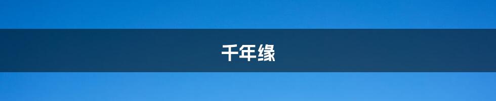 千年缘
