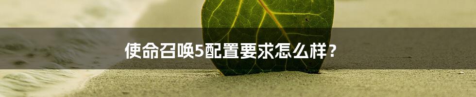 使命召唤5配置要求怎么样？