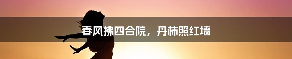 春风拂四合院，丹柿照红墙