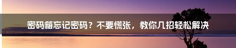 密码箱忘记密码？不要慌张，教你几招轻松解决