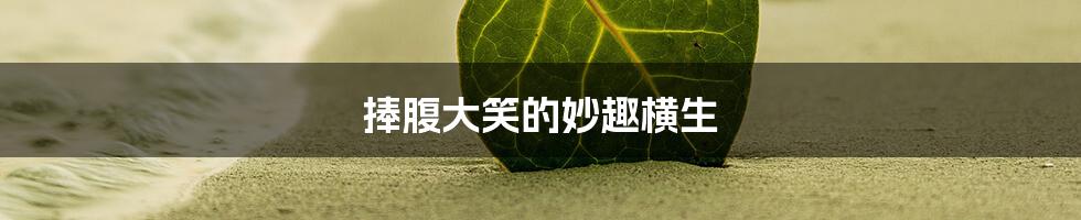 捧腹大笑的妙趣横生