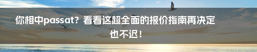 你相中passat?看看这超全面的报价指南再决定也不迟!