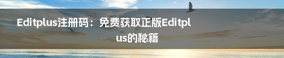 Editplus注册码：免费获取正版Editplus的秘籍