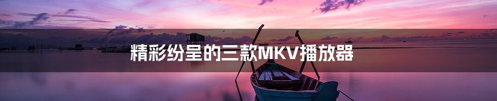 精彩纷呈的三款MKV播放器