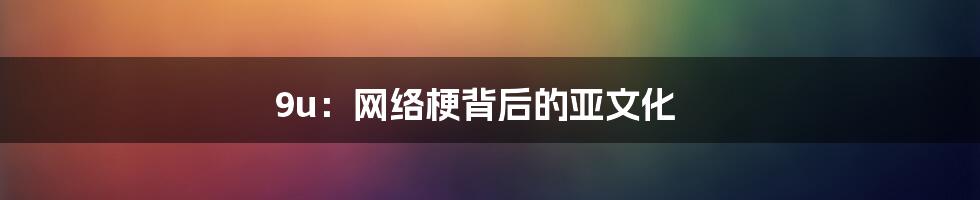 9u：网络梗背后的亚文化