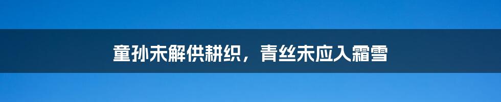 童孙未解供耕织,青丝未应入霜雪