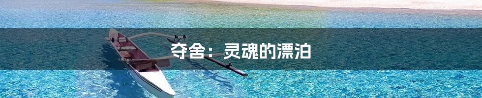 夺舍:灵魂的漂泊