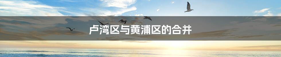 卢湾区与黄浦区的合并