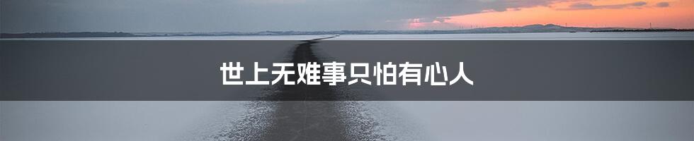 世上无难事只怕有心人