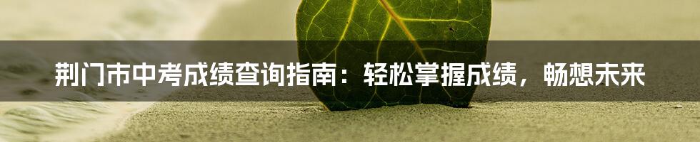 荆门市中考成绩查询指南：轻松掌握成绩，畅想未来