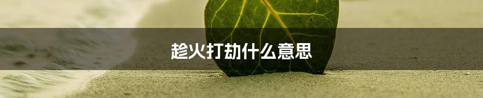 趁火打劫什么意思