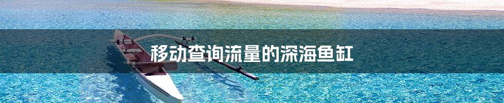 移动查询流量的深海鱼缸