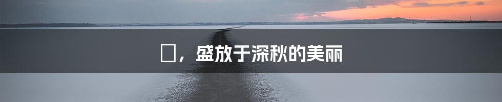 萩,盛放于深秋的美丽