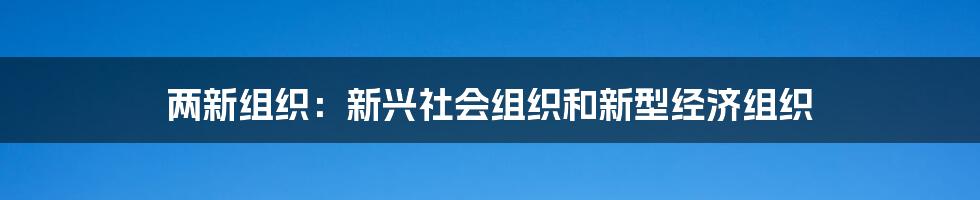 两新组织:新兴社会组织和新型经济组织