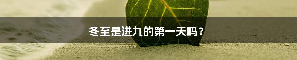 冬至是进九的第一天吗?
