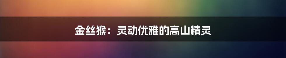 金丝猴：灵动优雅的高山精灵