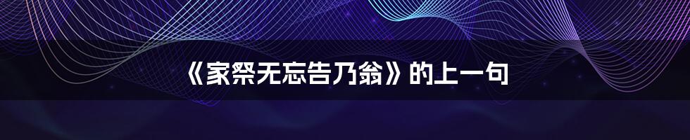 《家祭无忘告乃翁》的上一句