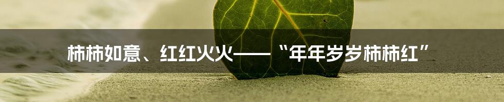 柿柿如意、红红火火——“年年岁岁柿柿红”